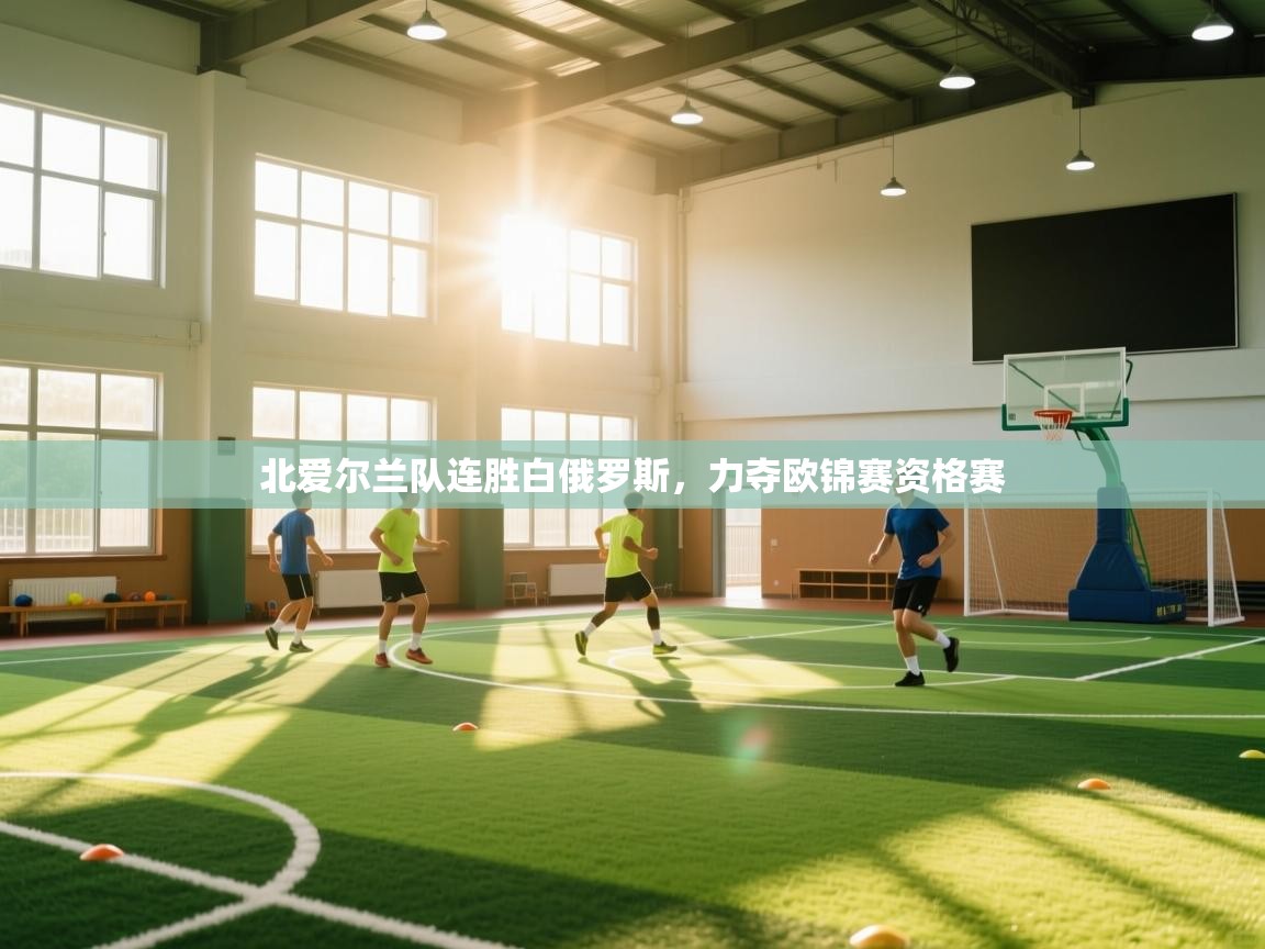 北爱尔兰队连胜白俄罗斯，力夺欧锦赛资格赛  第2张