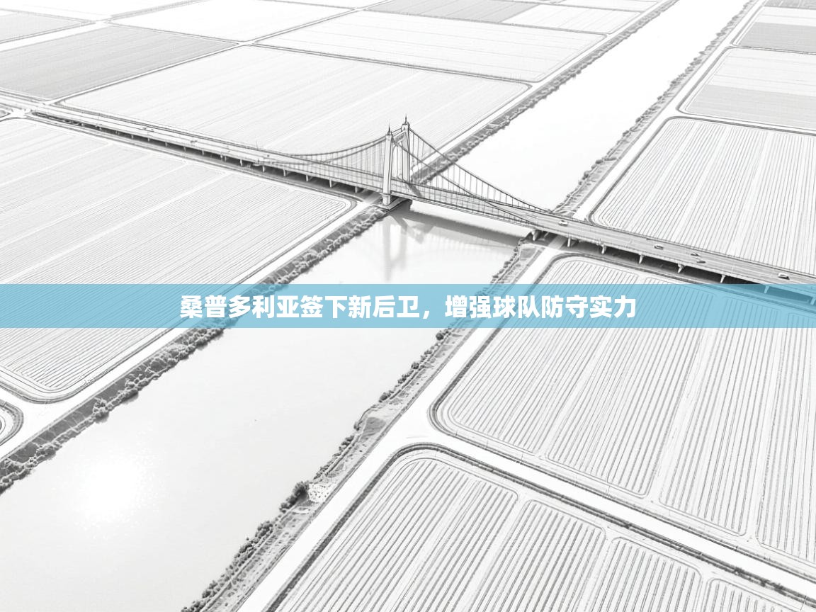 桑普多利亚签下新后卫，增强球队防守实力  第2张