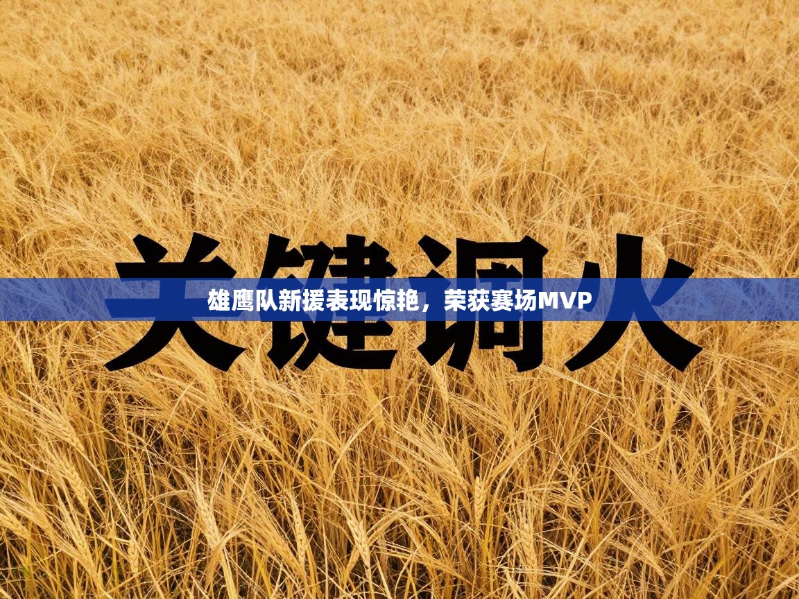 雄鹰队新援表现惊艳，荣获赛场MVP  第2张